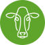 Future Dairy