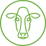 Future Dairy