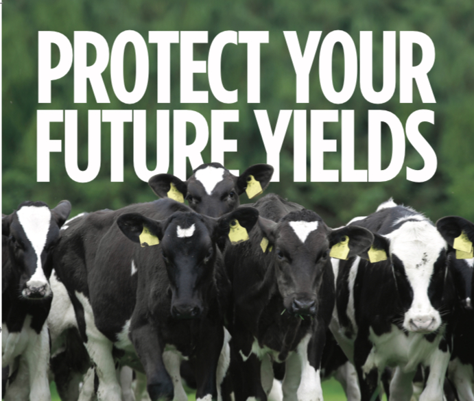 Protect your future yields
