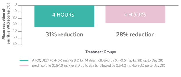 Treatment Groups Chart VAS Scores