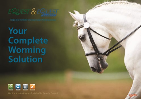 Contact Ireland@zoetis.com for your free information guide on Horse Worms and Control