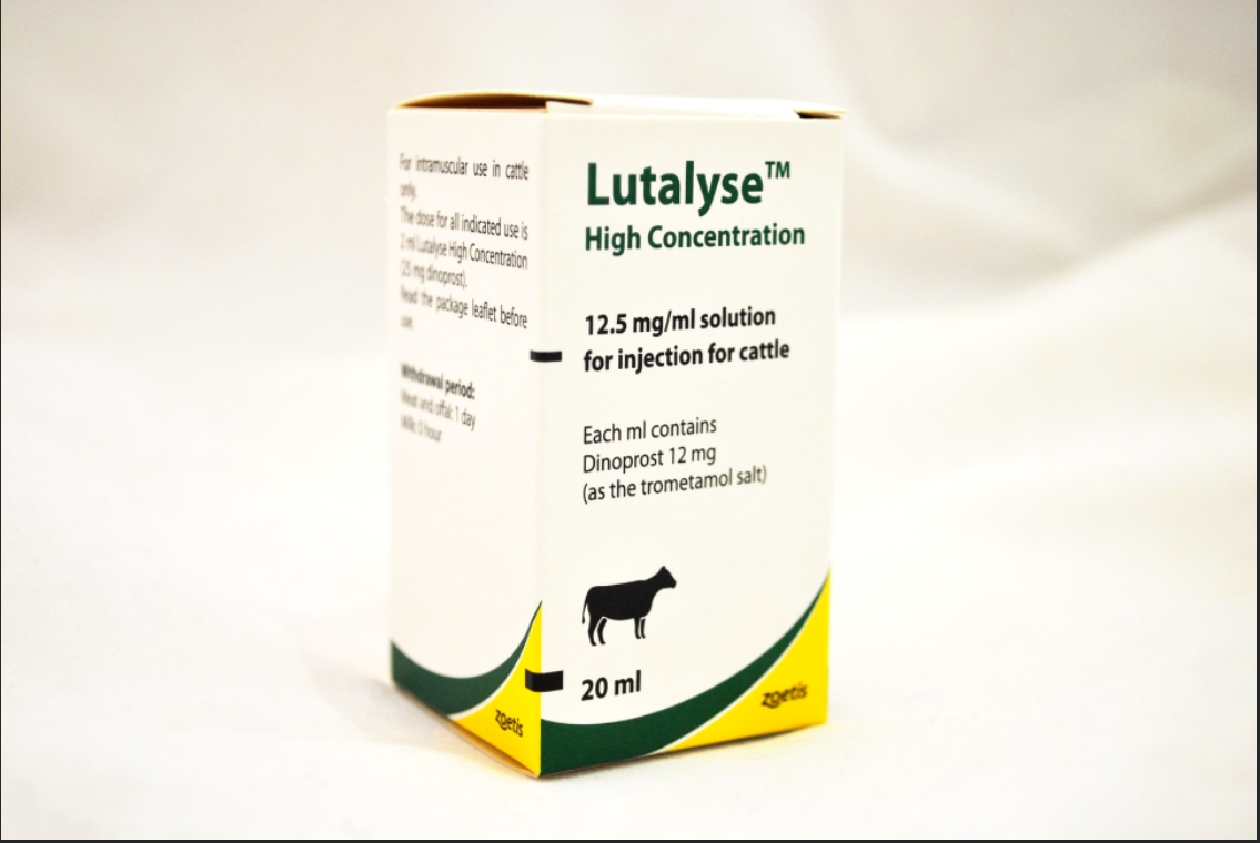 Lutalyse High Concentration