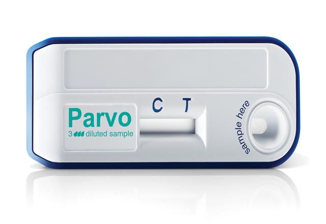 Parvo Rapid Test