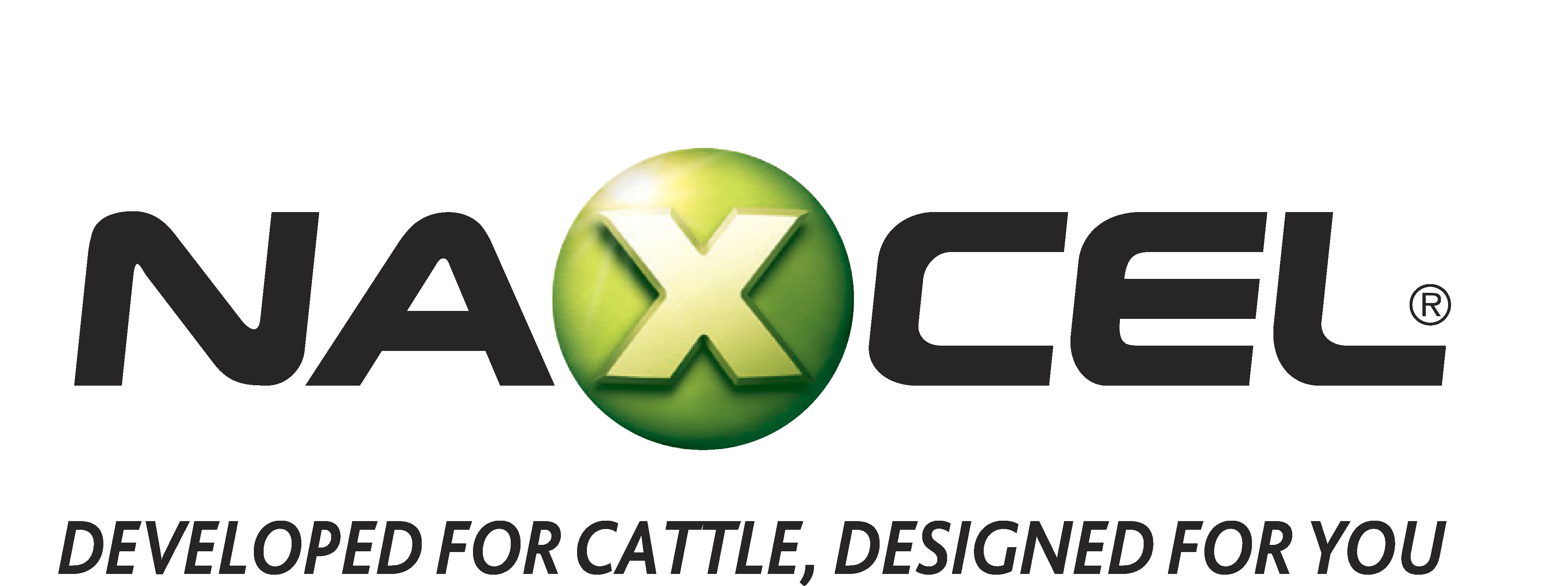 Naxcel logo