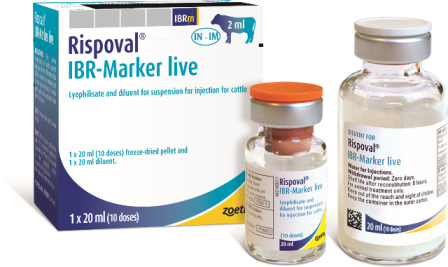 Rispoval IBR-Marker live