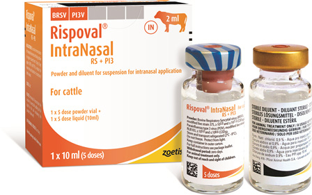 Rispoval RS+Pi3 IntraNasal