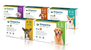 Simparica for dogs 