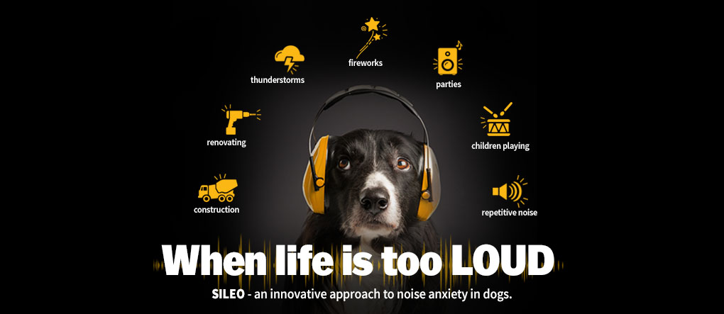 Sileo - when life is too LOUD